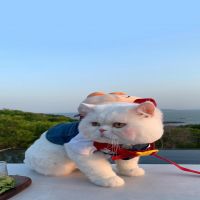 黄瓜与土豆