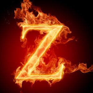 麻辣Z